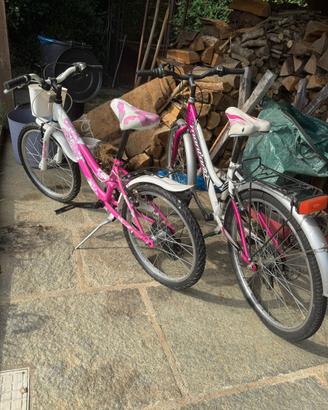 Bicicletta