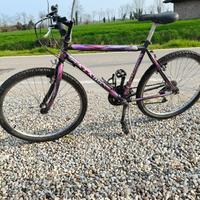 biciclette 