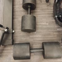 manubri artigianali 40 kg ciascuno 