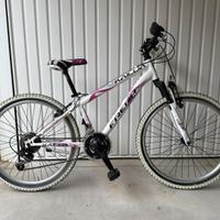 Bicicletta bambino 8-12 anni