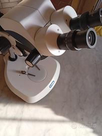 stereomicroscopio professionale "Orma"