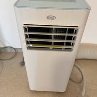 Pinguino raffredda ambiente