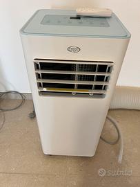 Pinguino raffredda ambiente