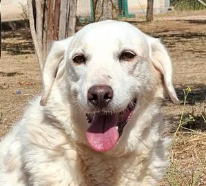 Olga, socievole e dolce attende la sua famiglia