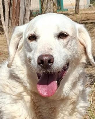 Olga, socievole e dolce attende la sua famiglia