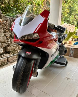 Ducati panigale 12v