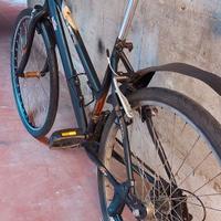 bicicletta