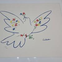 Litografia “Colomba della Pace” d’après Picasso