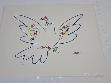 Litografia “Colomba della Pace” d’après Picasso