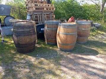 Botti in legno di rovere sanissime 95x70