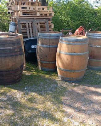 Botti in legno di rovere sanissime 95x70