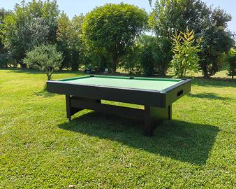 biliardo professionale