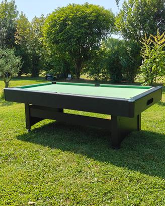 biliardo professionale