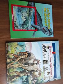 la fine dell' era dei dinosauri, il cammino dell' 