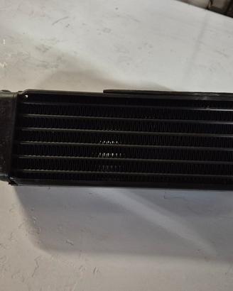 radiatore olio bmwr850r 