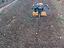 Immagine 5