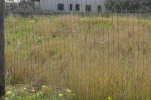 TERRENO EDIFICABILE- PETROSA- Scalea