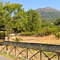 TERRENO 2000 mq - PANORAMICO - FRONTE STRADA