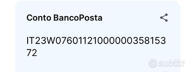 Vendita cuccioli di PINCHER TOY