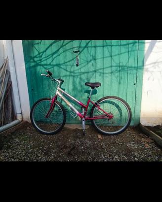 Bicicletta da donna/bambina