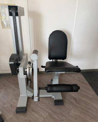 LEG EXTENSION PROFESSIONALE