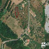 Terreno con fabbricati TERC/17