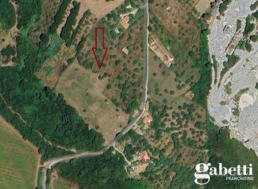 Terreno con fabbricati TERC/17