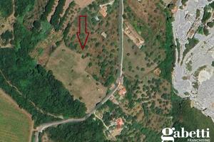 Terreno con fabbricati TERC/17