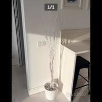 Rami secchi shabby perfetti