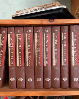Collezione Libri