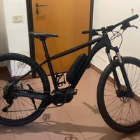 Bicicletta elettrica