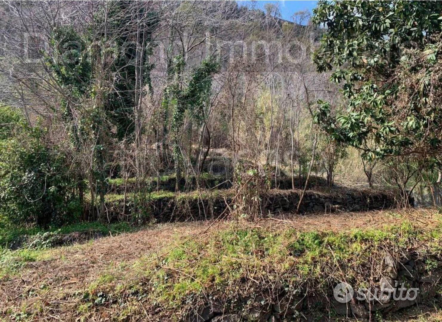 Soluzione singola con terreno a Macchia di Giarre - Vista 4