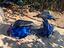 Immagine 6