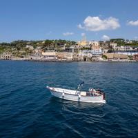 Gozzo fratelli esposito 7,50 motore nanni nuovo