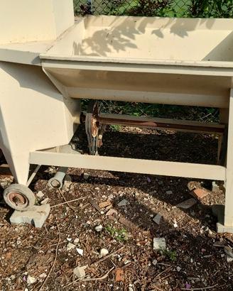 pigia diraspatrice Puleo