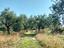 Immagine 11