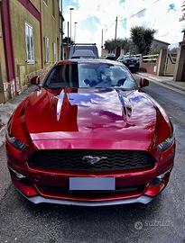 Ford mustang 317 cv