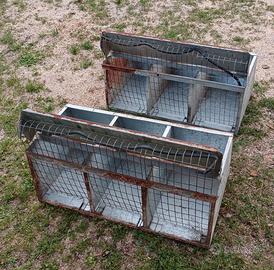 Nido a tre posti per galline