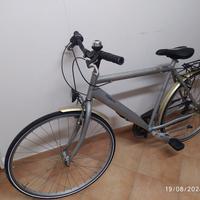 Bicicletta Regina Uomo 