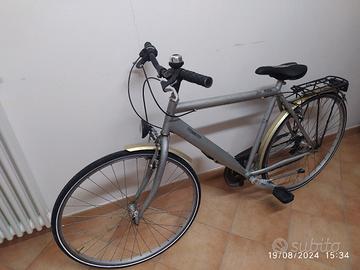 Bicicletta Regina Uomo 