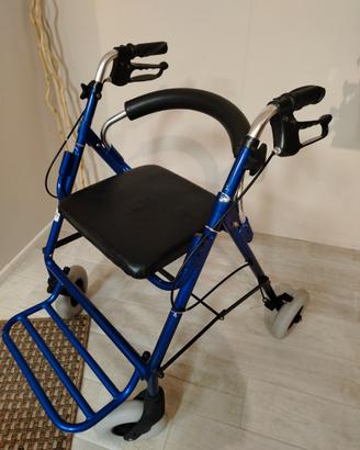 Deambulatore da esterno