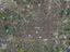 Immagine 17