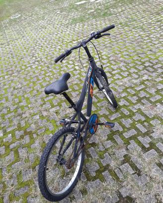 Bicicletta