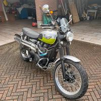 Triumph scrambler 900