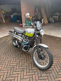 Triumph scrambler 900