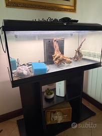 Acquario 