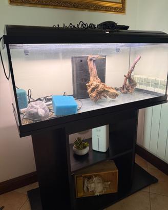 Acquario 