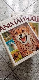 Vita degli Animali Curcio – Collezione 8 Volumi