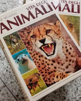 Vita degli Animali Curcio – Collezione 8 Volumi