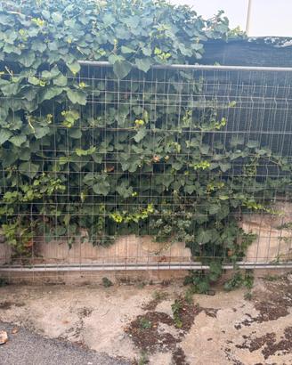 Revinzione acciaio cantiere